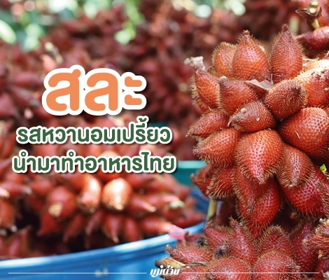 สละ... รสหวานอมเปรี้ยวนำมาทำอาหารไทย สำนักพิมพ์แม่บ้าน