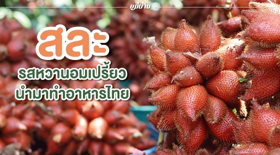 สละ... รสหวานอมเปรี้ยวนำมาทำอาหารไทย สำนักพิมพ์แม่บ้าน