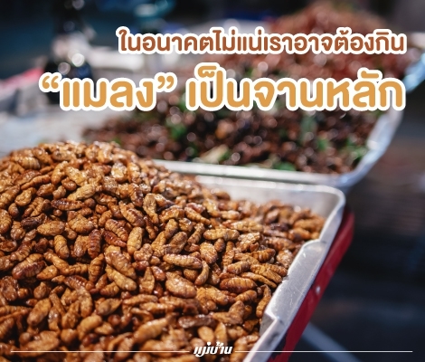 ในอนาคตไม่แน่เราอาจต้องกิน “แมลง” เป็นจานหลัก สำนักพิมพ์แม่บ้าน