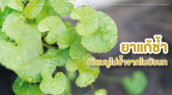 ยาแก้ช้ำ... กับเมนูไม่ซ้ำจากใบบัวบก สำนักพิมพ์แม่บ้าน