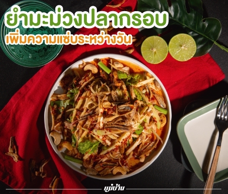 เพิ่มความแซ่บระหว่างวัน “ยำมะม่วงปลากรอบ” สำนักพิมพ์แม่บ้าน