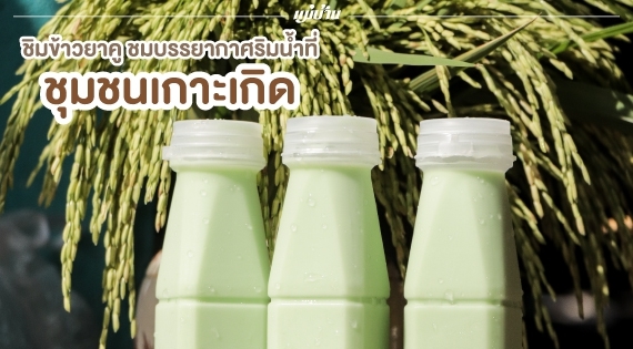 ชิมข้าวยาคู ชมบรรยากาศริมน้ำที่ “ชุมชนเกาะเกิด” สำนักพิมพ์แม่บ้าน