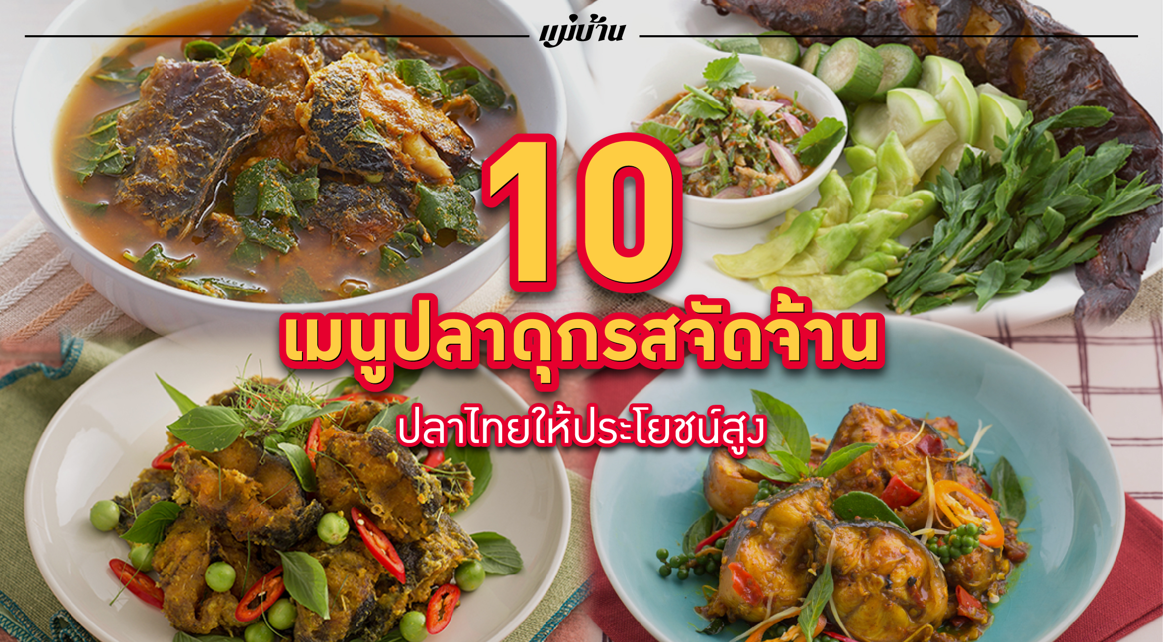 10 เมนูปลาดุกรสจัดจ้าน ปลาไทยให้ประโยชน์สูง สำนักพิมพ์แม่บ้าน