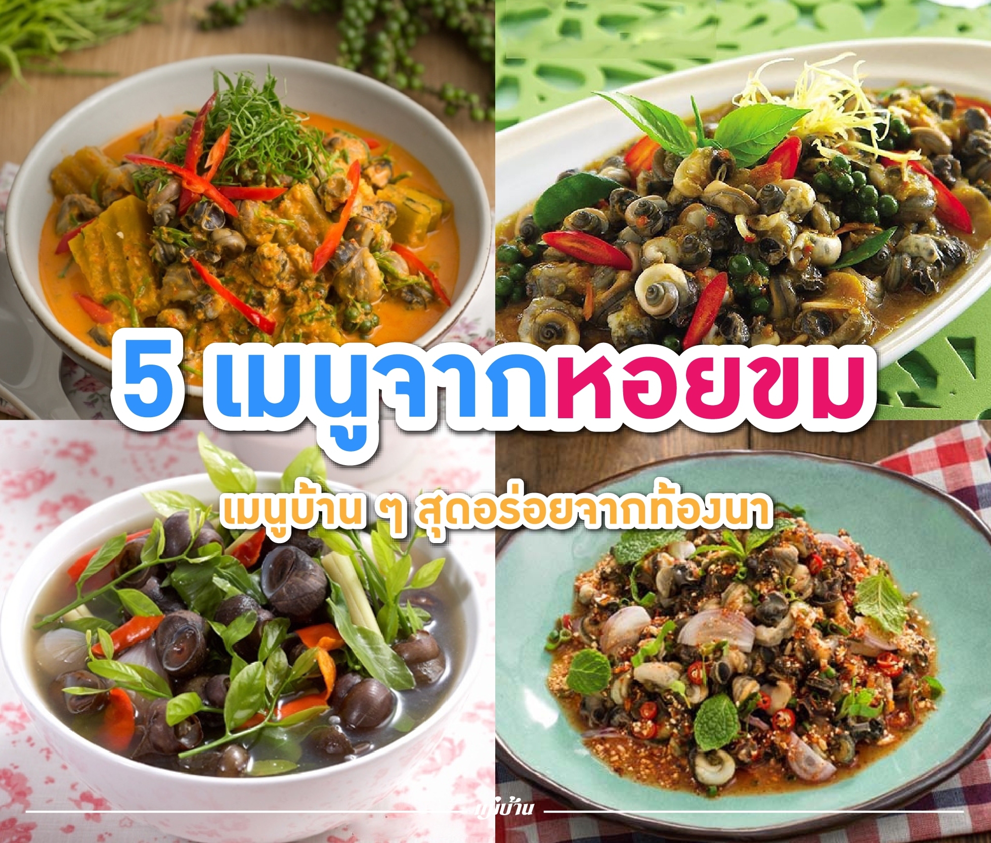 5 เมนูจากหอยขม เมนูบ้าน ๆ สุดอร่อยจากท้องนา สำนักพิมพ์แม่บ้าน