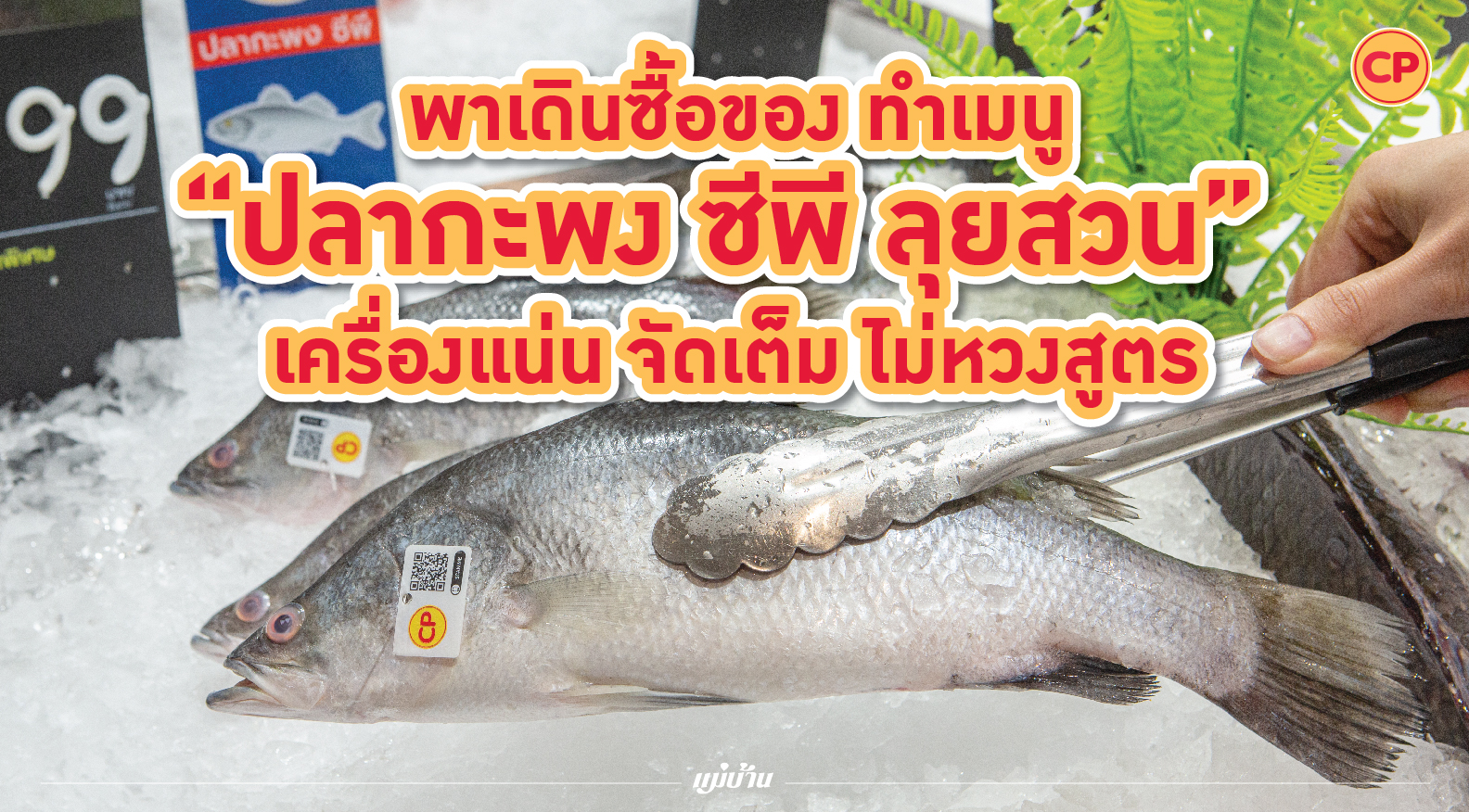 พาเดินซื้อของ ทำเมนู “ปลากะพง ซีพี ลุยสวน” เครื่องแน่น จัดเต็ม ไม่หวงสูตร สำนักพิมพ์แม่บ้าน