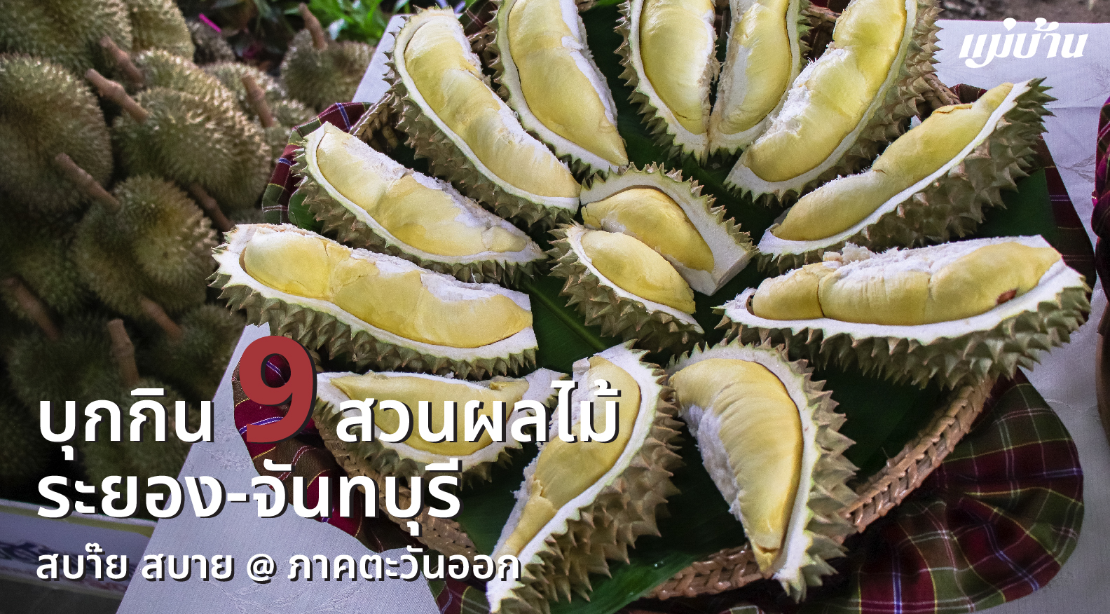 บุกกิน 9 สวนผลไม้ ระยอง-จันทบุรี สบ๊าย สบาย @ ภาคตะวันออก สำนักพิมพ์แม่บ้าน