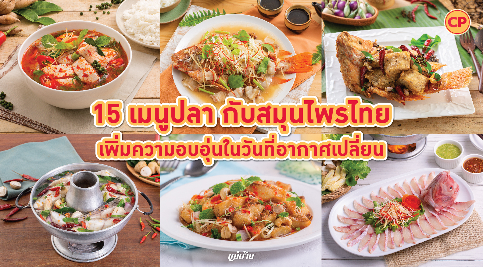 15 เมนูปลา กับสมุนไพรไทย เพิ่มความอบอุ่นในวันที่อากาศเปลี่ยน สำนักพิมพ์แม่บ้าน