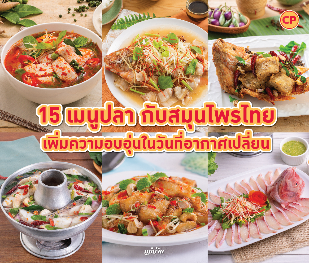 15 เมนูปลา กับสมุนไพรไทย เพิ่มความอบอุ่นในวันที่อากาศเปลี่ยน สำนักพิมพ์แม่บ้าน