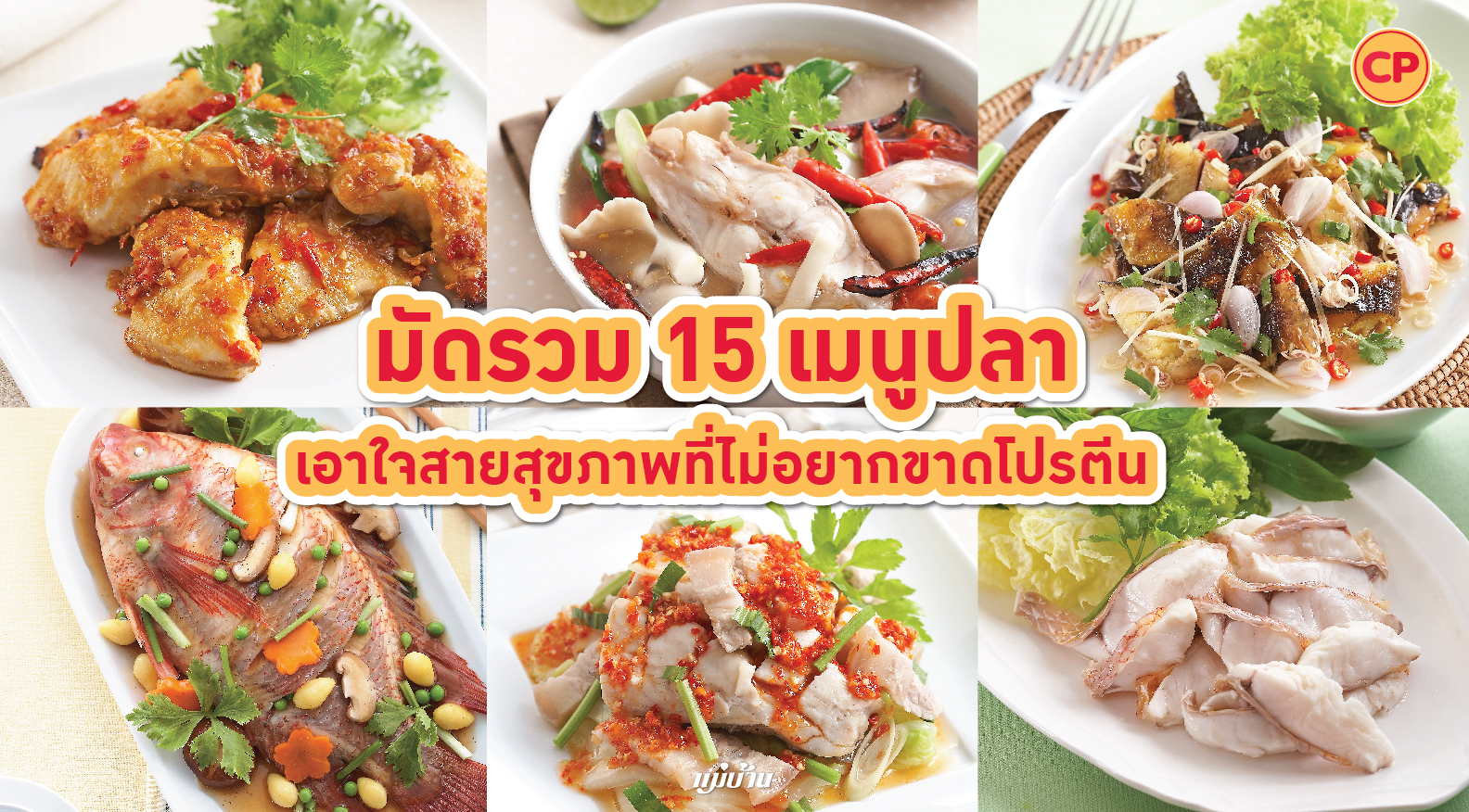 มัดรวม 15 เมนูปลา เอาใจสายสุขภาพที่ไม่อยากขาดโปรตีน สำนักพิมพ์แม่บ้าน