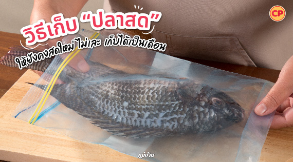 วิธีเก็บ “ปลาสด” ให้ยังคงสดใหม่ ไม่เละ เก็บได้เป็นเดือน สำนักพิมพ์แม่บ้าน