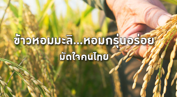 ข้าวหอมมะลิ หอมกรุ่นอร่อยมัดใจคนไทย สำนักพิมพ์แม่บ้าน