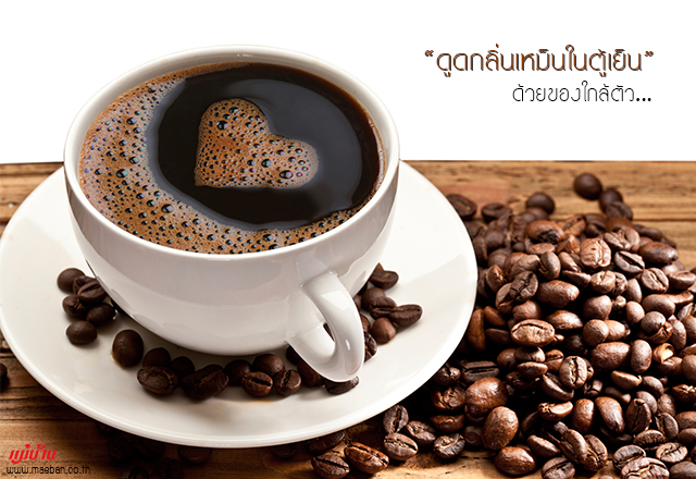 ดูดกลิ่นเหม็นในตู้เย็นด้วยของใกล้ตัว