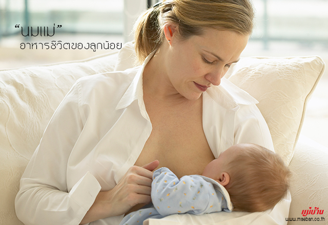 นมแม่ อาหารชีวิตของลูกน้อย