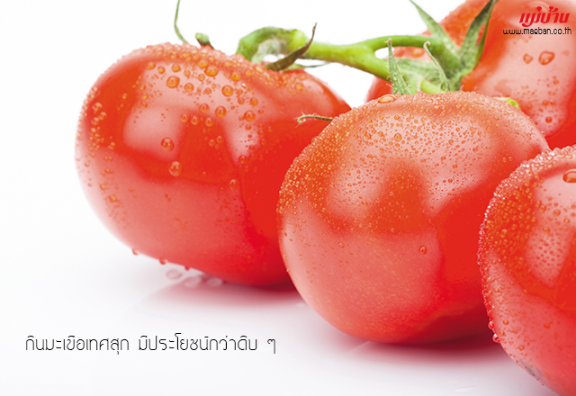 กินมะเขือเทศสุก มีประโยชน์กว่าดิบ ๆ